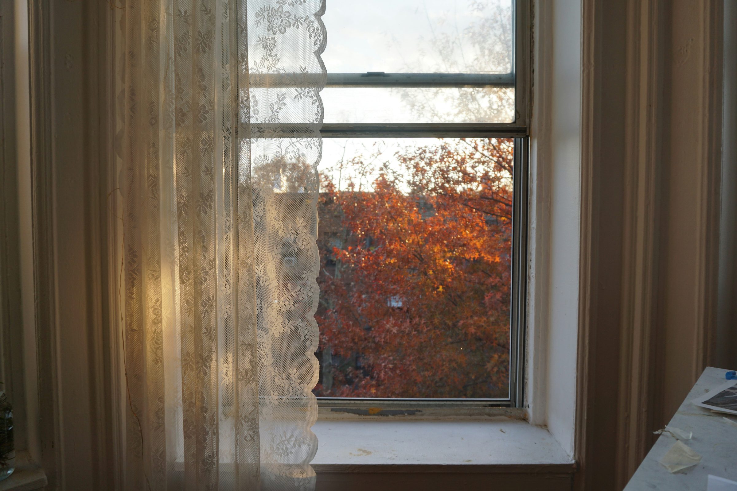 Sheer curtain against a window with fall foliage